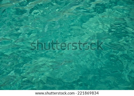 texture transparent clear waters of the sea lake