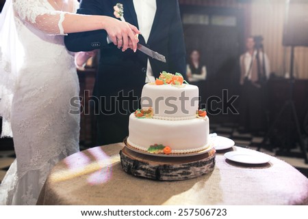 two-layer cake for a wedding