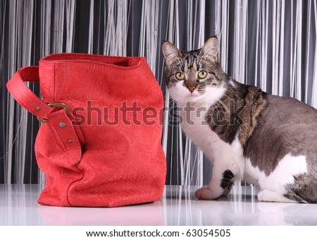 Red leather bag with cat