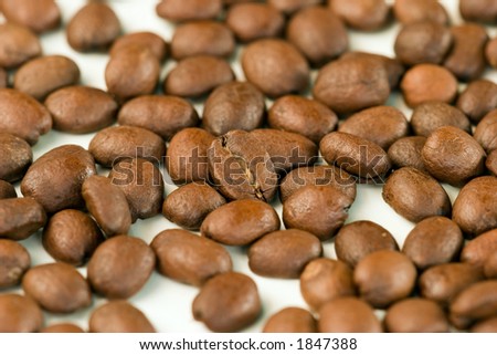 an isolated up-turned coffee bean with the foreground and background de-focused