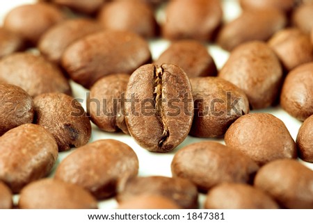 an isolated coffee bean on a bed of coffee beans with the foreground and background de-focused