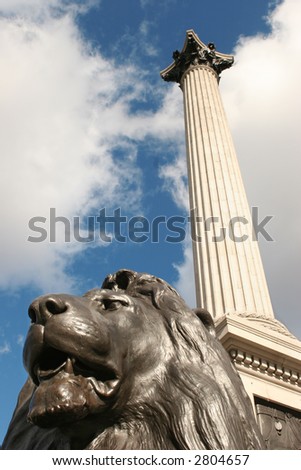 one of the lions at trafalgar square and nelson\'s column