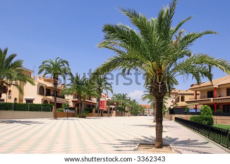 a palm tree lined padestrianized road