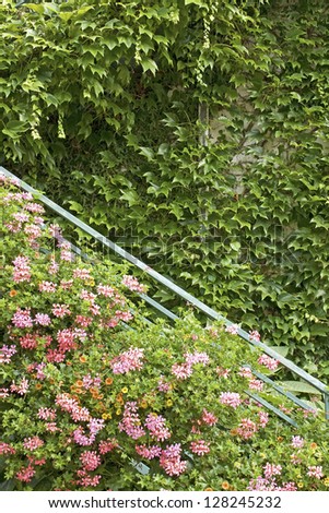 Vertical Garden, green wall with flower.
