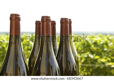 Wine bottles, Burgundy. Vineyard. France.