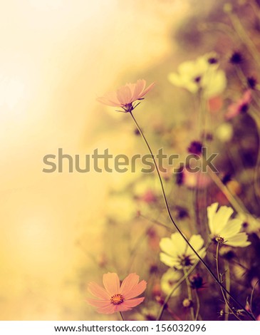 Beautiful Defocus Blur Retro Background With Tender Flowers. Floral Art Design In Retro Style