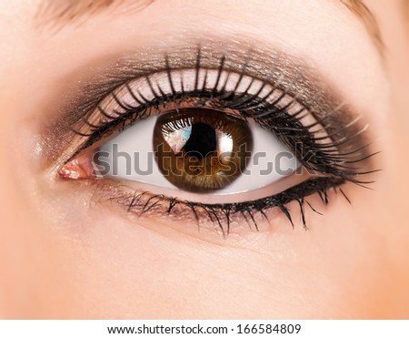 woman brown eye with false  extremely long lashes