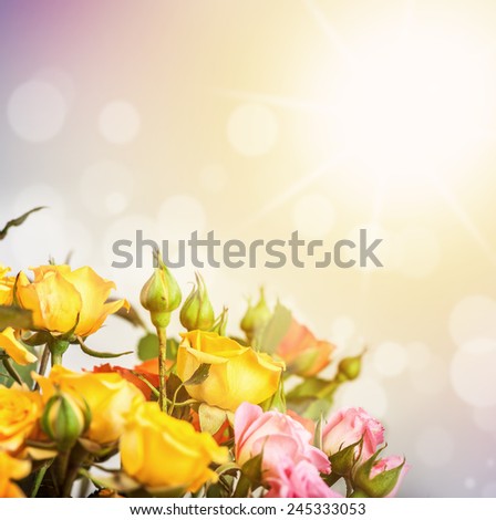 Defocus blur bright flowers - spring roses on sunrise background with color filters