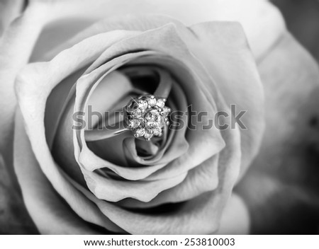 gold diamond engagement ring in beautiful rose flower, macro view black and white style