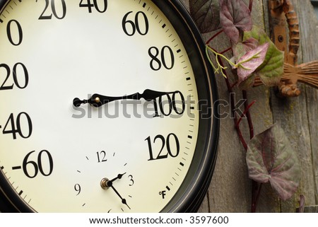 An old thermometer and clock on a weathered wall with vines