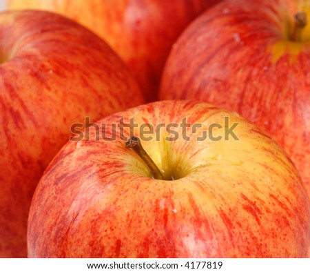 A closeup of four ripe Gala apples
