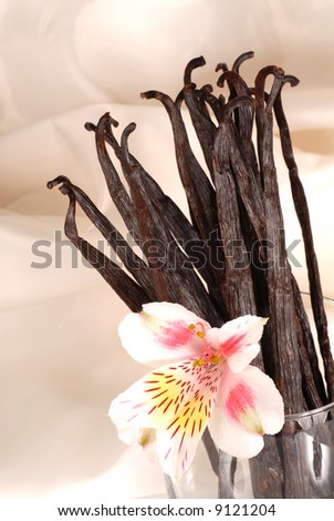 Whole vanilla beans and a flower in a glass