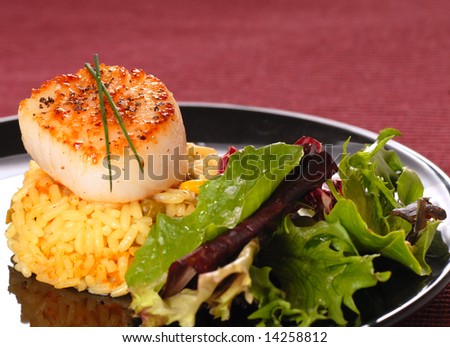 Delicious fresh sea scallop on a bed of saffron rice with a crisp salad