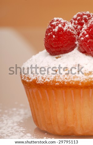 Closeup of freshly baked vanilla cupcake with raspberries and powdered sugar