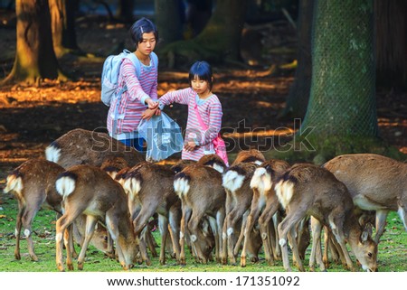 NARA, JAPAN - NOVEMBER 16: Sika Deer in Nara, Japan on November 16, 2013.  Unidentified female children feed Sika deer with traditional Japanese \