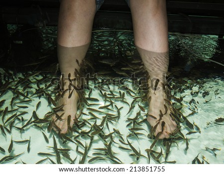 Fish spa feet pedicure skin care treatment with the fish rufa garra