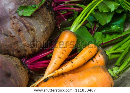 raw carrots and beets from the garden