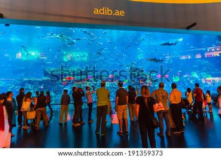 DUBAI, UAE - NOV 9: Aquarium in Dubai Mall - world\'s largest shopping mall , Downtown Burj Dubai November 9, 2013 in Dubai, United Arab Emirates