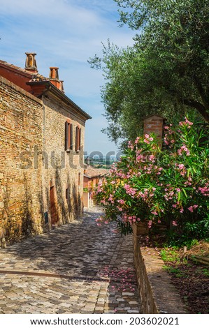 typical Italian street in a small provincial town of Tuscan, Italy, Europe