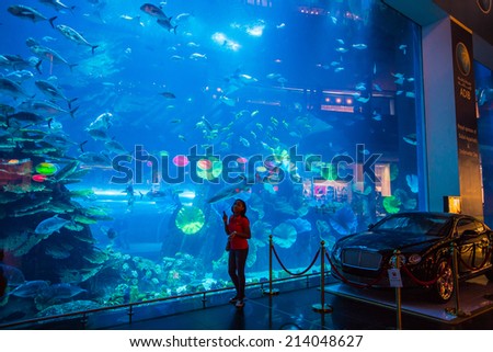 DUBAI, UAE - NOV 9: Aquarium in Dubai Mall - world\'s largest shopping mall , Downtown Burj Dubai November 9, 2013 in Dubai, United Arab Emirates