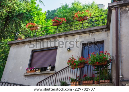 Windows and doors in an old house decorated with flower pots and flowers