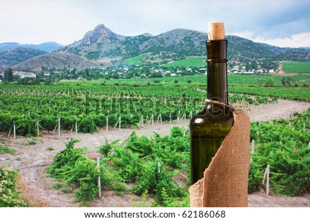 A bottle of wine on the background of mountain scenery with the vineyards