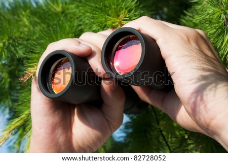 watching from the bushes with binoculars