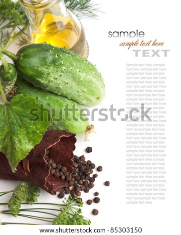 pickling cucumbers and spices isolated on white background