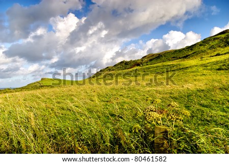 causeway coast grassland, beautiful landscape in Northern Ireland