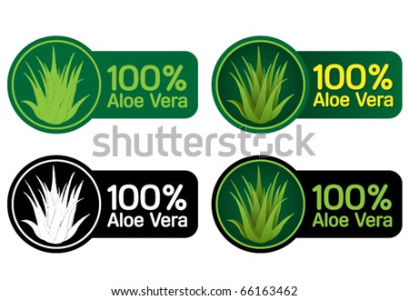 Aloe Vera Vector