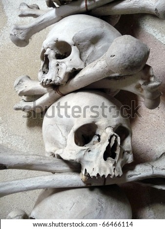 Skulls and Crossed Bones