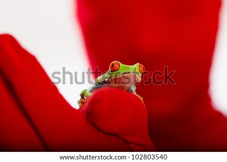 Person in a colorful body suit covered from head to toe holding a red eyed tree frog.