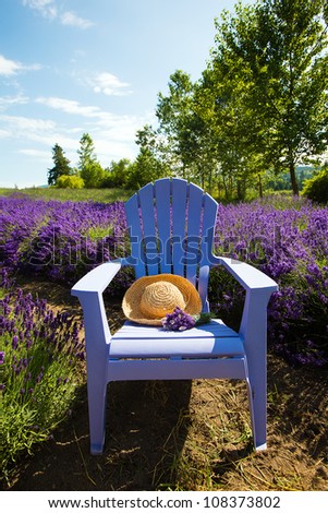 Colorful blue chair in a field of vibrant purple lavender.  In the chair is a summer floppy hat and a bouquet of fresh cut flowers.
