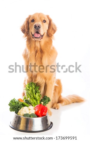 A Happy Golden Retriever Dog Sitting Next To A Bowl Of Fresh Vegetables.