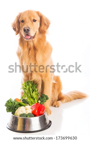 A happy golden retriever dog sitting next to a bowl of fresh vegetables.
