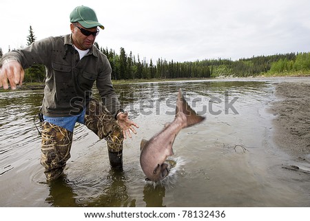 A large salmon jumping out of the hands of a fisherman
