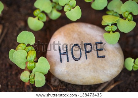 Sprouting plants surround a hope message rock