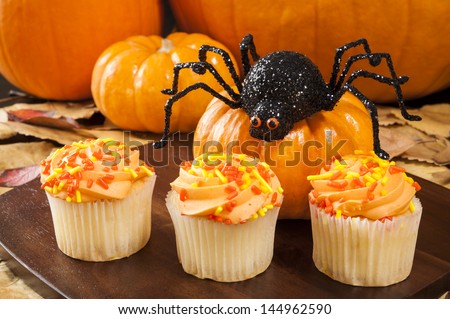 Halloween spider with pumpkins and three cupcakes