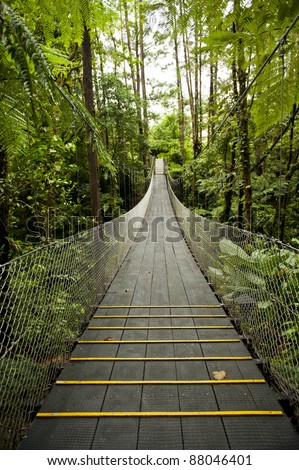 Suspension bridge in the tropical rain forest of Costa Rica