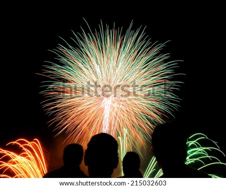 SAN SEBASTIAN, SPAIN - AUG 12: Fireworks San Sebastian contest on August 12, 2014 in San Sebastian, Spain.