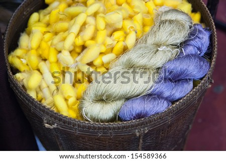 gold silk and larva egg