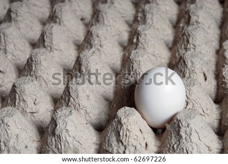 White egg in carton container