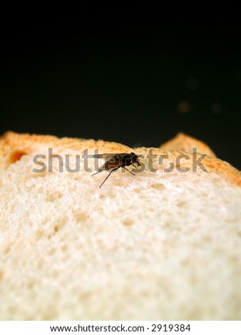 a photo bread