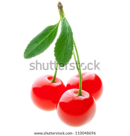 Ripe red bright cherries with green stem and leaf isolated on white background - closeup studio photography