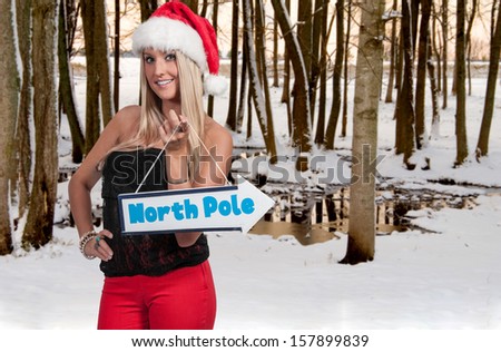Beautiful woman Santa elf holding a north pole sign
