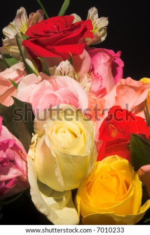 An assortment of colorful freshly cut roses.