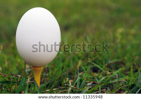 Farm Fresh Egg