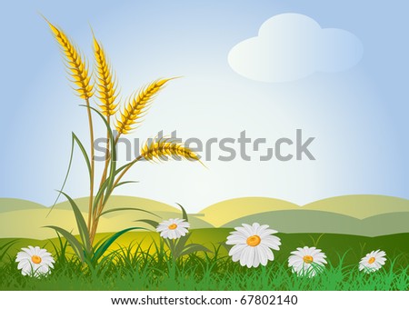 ears of wheat with landscape, sky and flowers