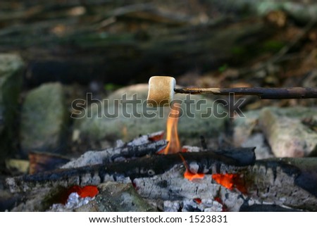 Marshmallow roasting over a campfire