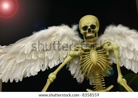 Skeleton with Wings